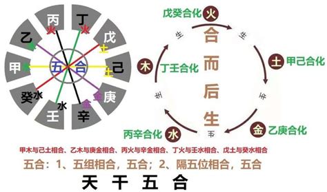 五行合化表|天干五合